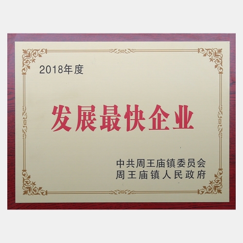 2018年度發展最快企業